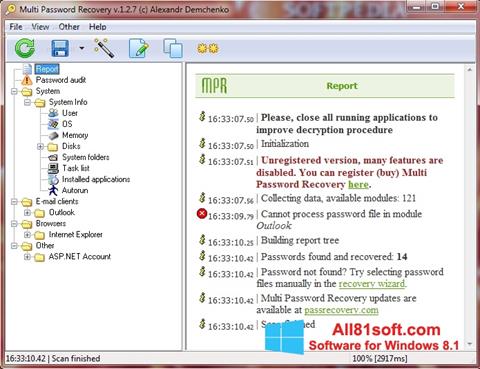 Screenshot Multi Password Recovery Windows 8.1