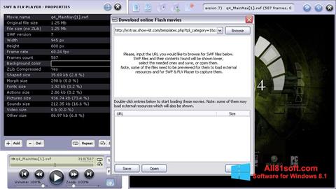 Screenshot FLV Player Windows 8.1